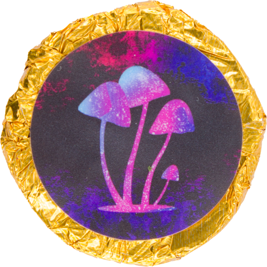 065A2AE5-812A-432C-BE0C-C8B52CF6B4B2.png golden teacher chocolate