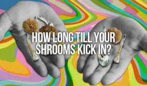 how long do shrooms take to kick in