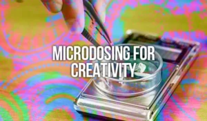 How Microdosing Boosts Creativity