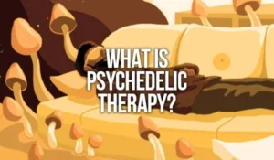 What is Psychedelic Therapy?