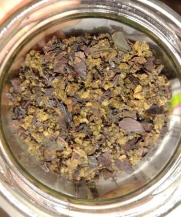 chaga mushroom for sale